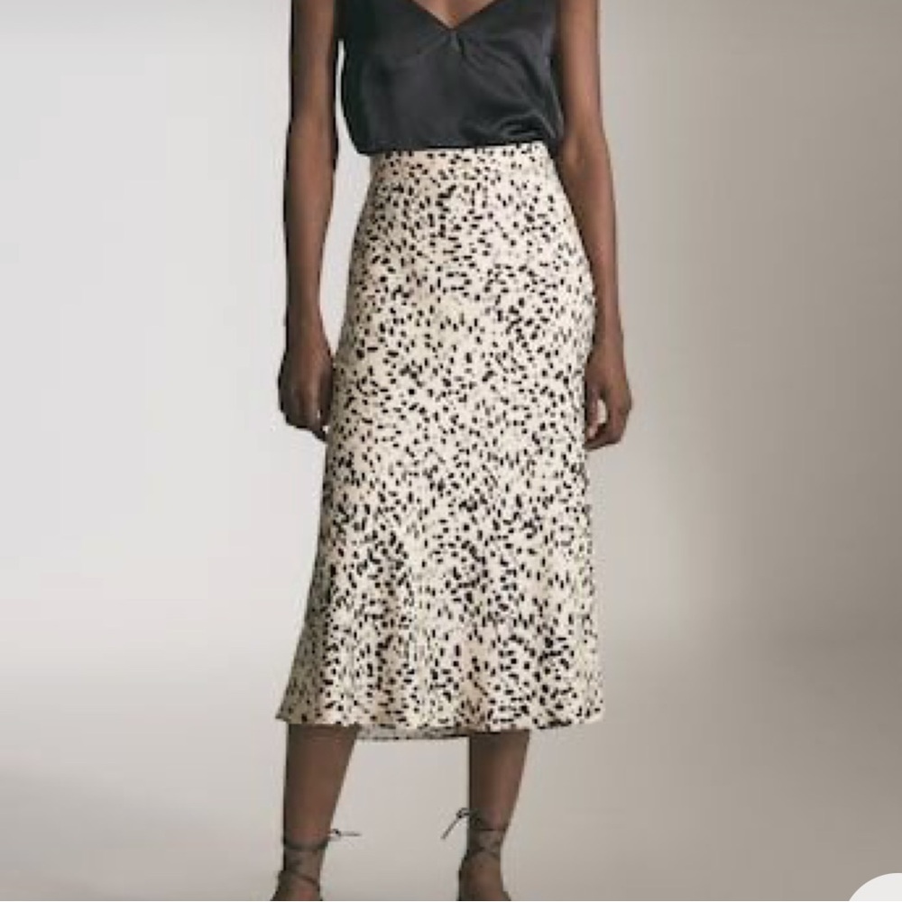 Massimo Dutti skirt / Size 6